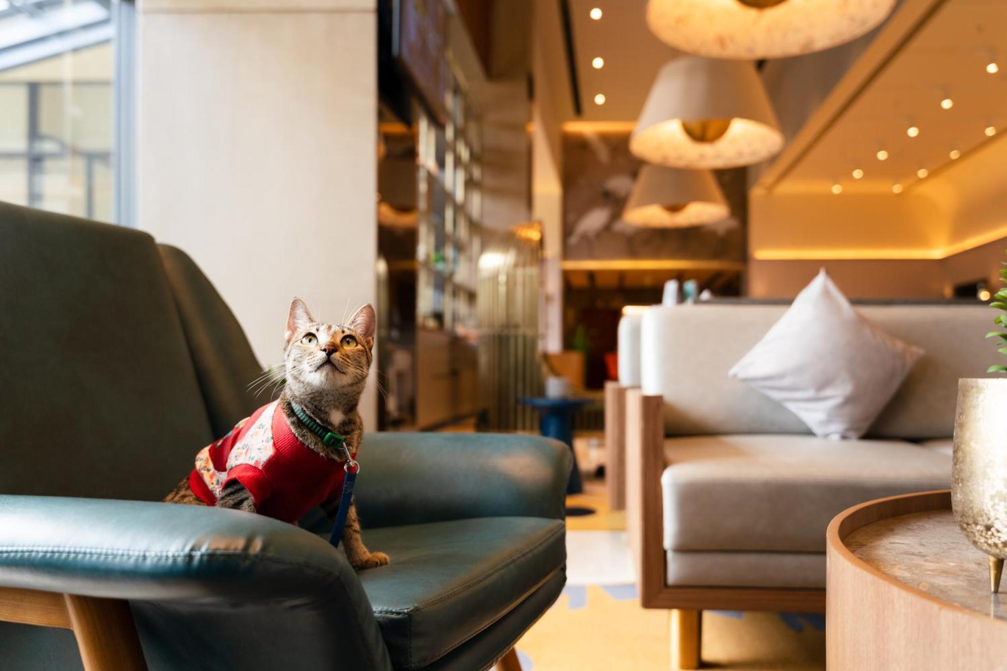 Ibis Styles Mysuru Otel Dış mekan fotoğraf